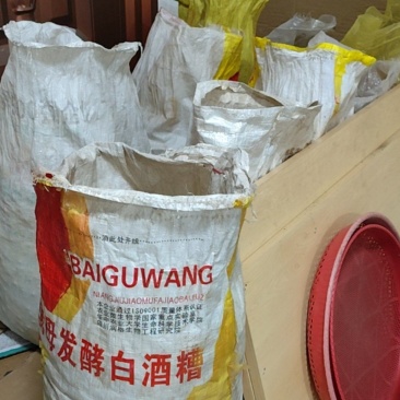 贵州毕节大方八堡自家种的小蒜（一边挖一边捡）