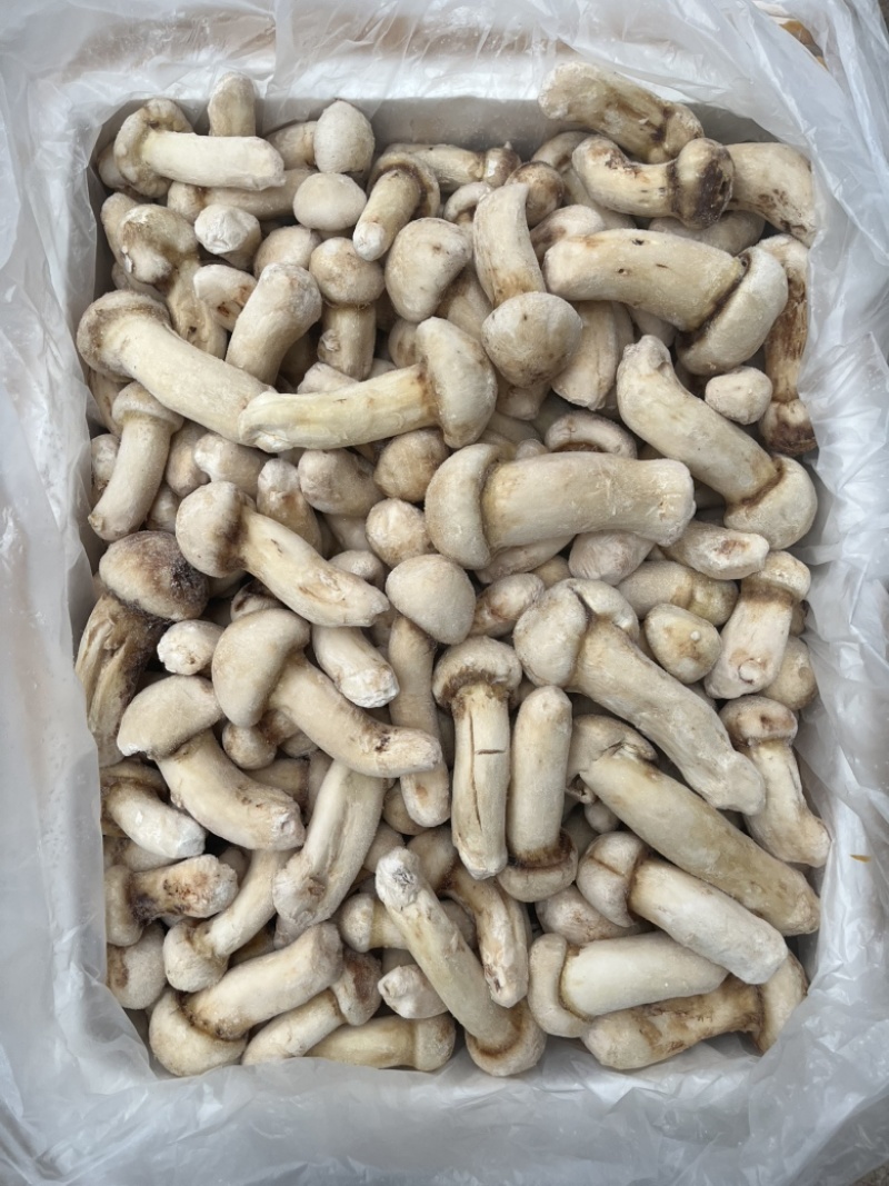 野生松茸冻品食用菌冻品台菌酒店餐饮直供场地直销
