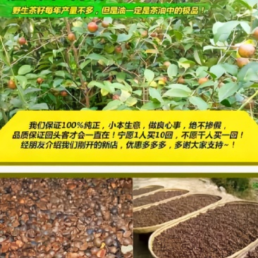 贵州野山茶油农产品