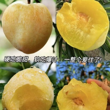 蜂糖奈李