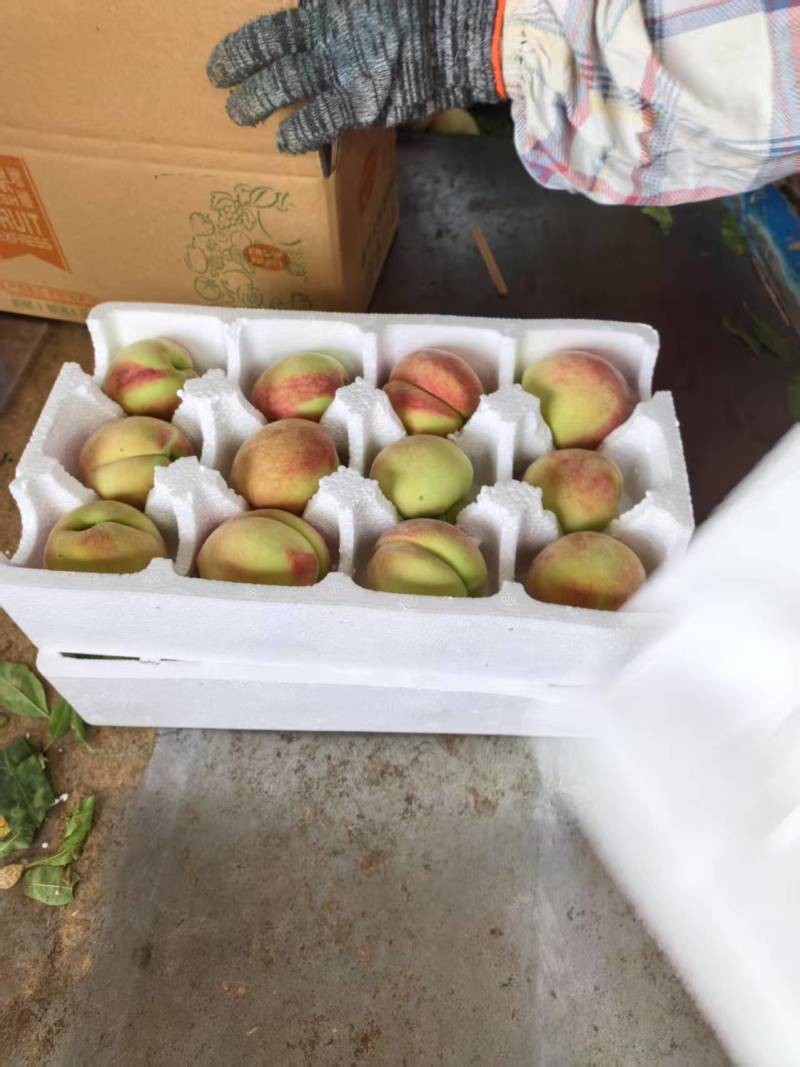 水蜜桃电商一件代发基地直供不限量日发万单