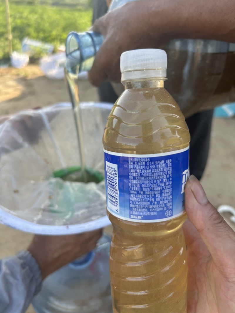 信阳市本地土蜂蜜直供%100纯蜂蜜假一赔百