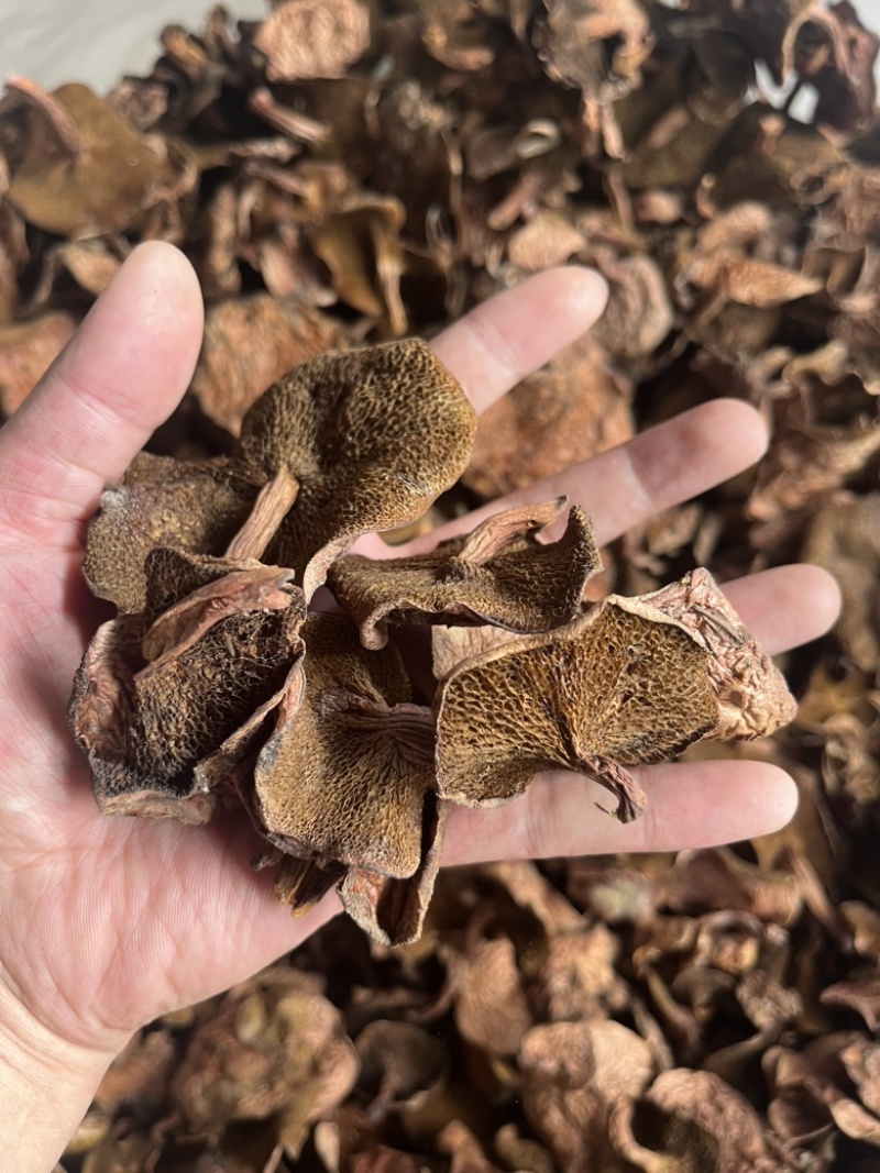 野生红乳牛肝菌干货产地大货批发量大从优