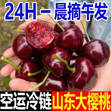 正宗山东美早爆汁大樱桃特大孕妇水果车厘子新鲜整箱航空冷链包邮