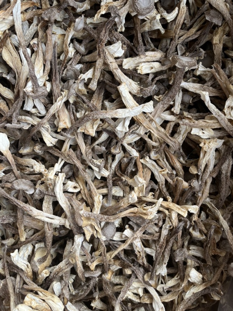 鹿茸菇干货酒店餐饮直供场地直销批现货批发