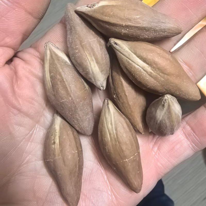 核尖的天花板，有货，不多