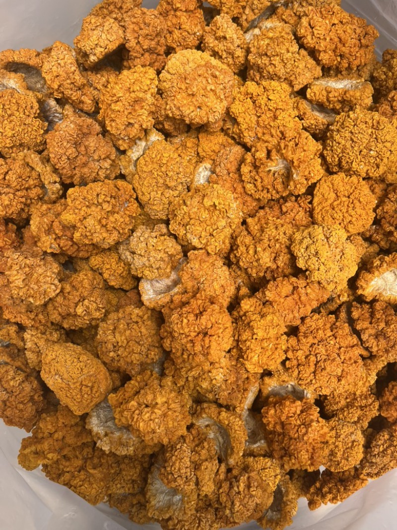 金耳干品黄耳菌酒店餐饮直供批发产地直销货源稳定
