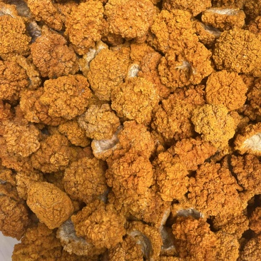 金耳干品黄耳菌酒店餐饮直供批发产地直销货源稳定