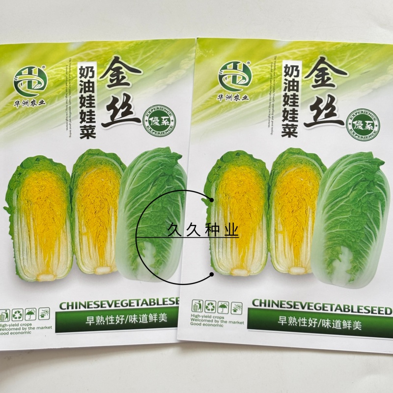 金丝奶油娃娃菜种子口感好绿叶黄芯早熟高产商品性佳