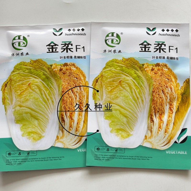 金柔F1橘红心大白菜种子柔嫩橘红芯高产抗病商品