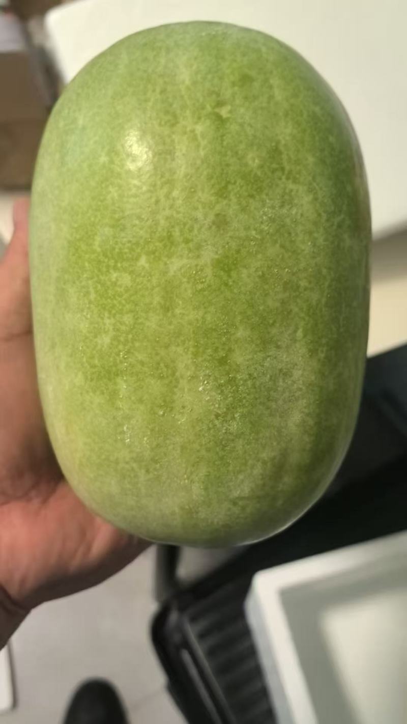 水果冬瓜