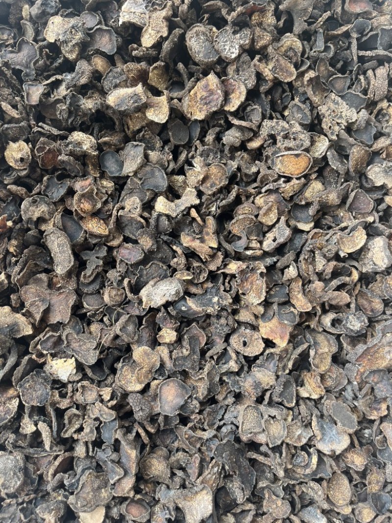 黑松露猪哄菌干品打粉料工厂火锅店**现货批发