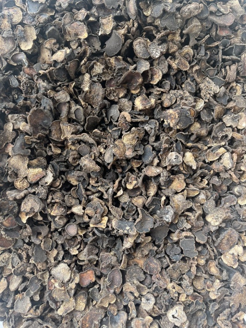 黑松露猪哄菌干品打粉料工厂火锅店**现货批发