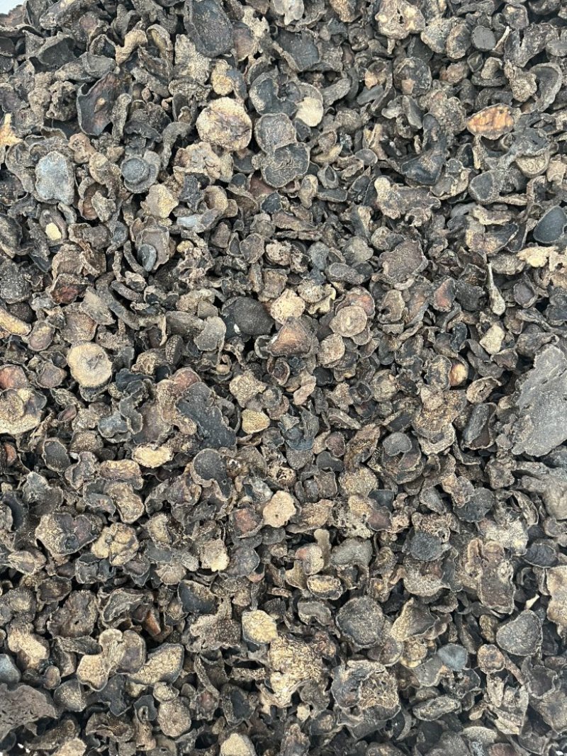 黑松露猪哄菌干品打粉料工厂火锅店**现货批发
