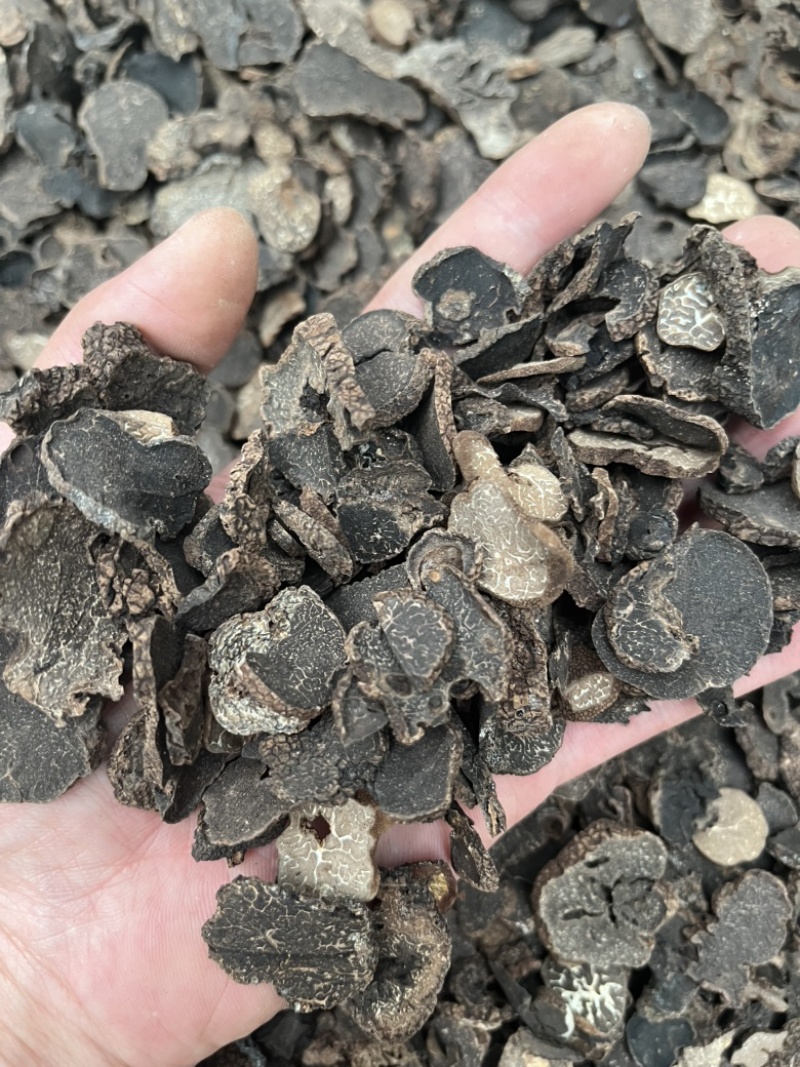 黑松露猪哄菌干品打粉料工厂火锅店**现货批发