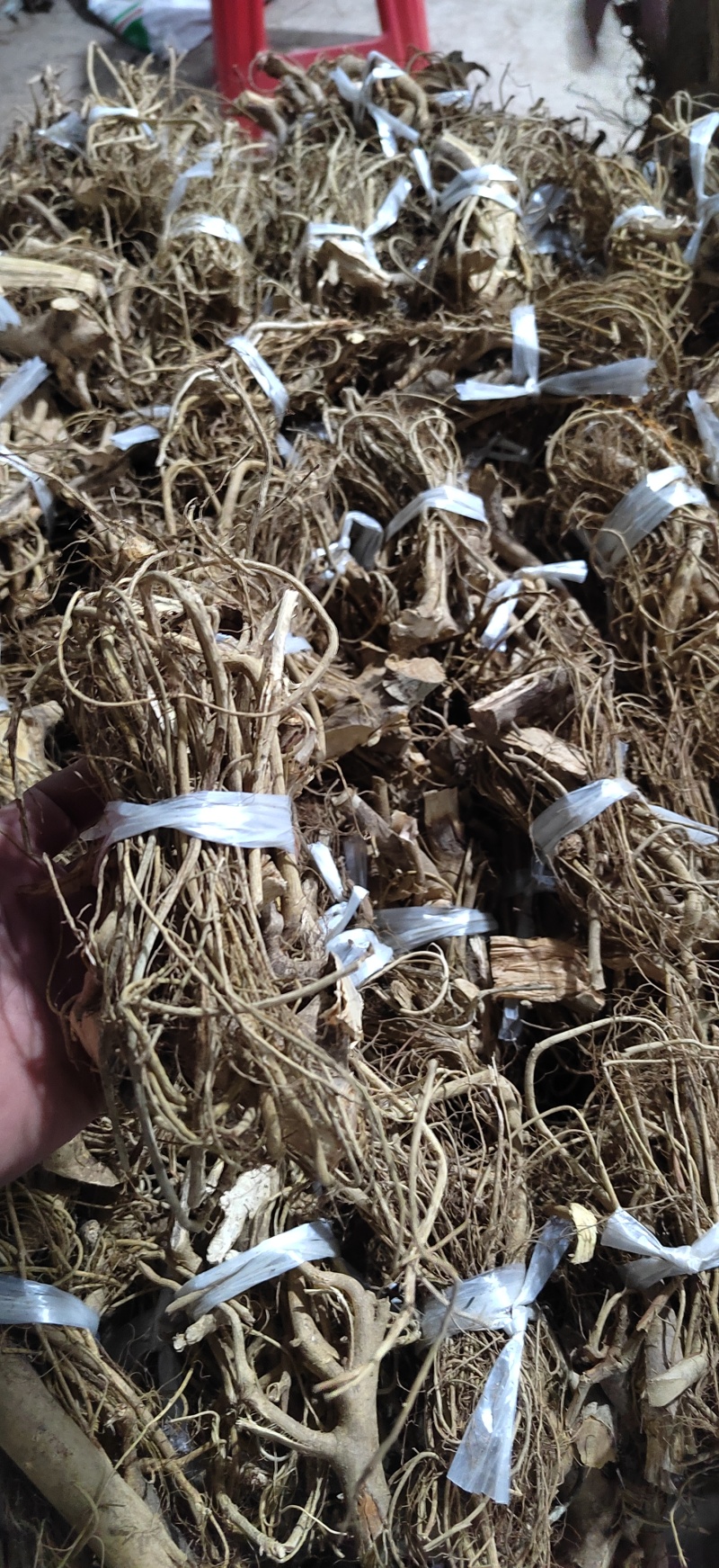 深山野生白花牛奶根味道香纯壹5扒零漆漆漆6爱山是