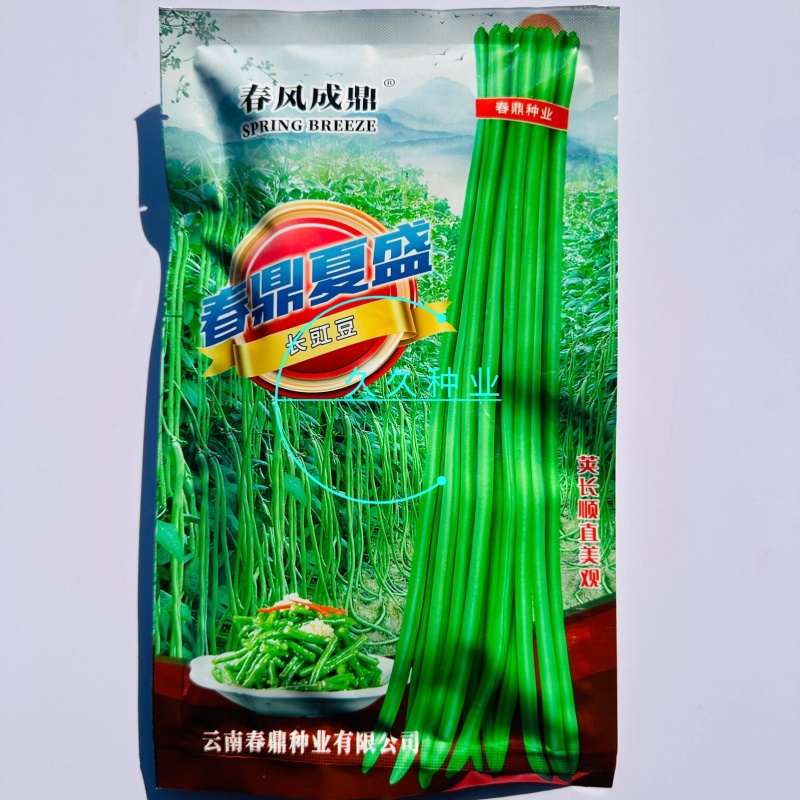 春鼎夏盛豇豆种子肉质厚结荚多翠绿色长豆角耐热高产耐老化春