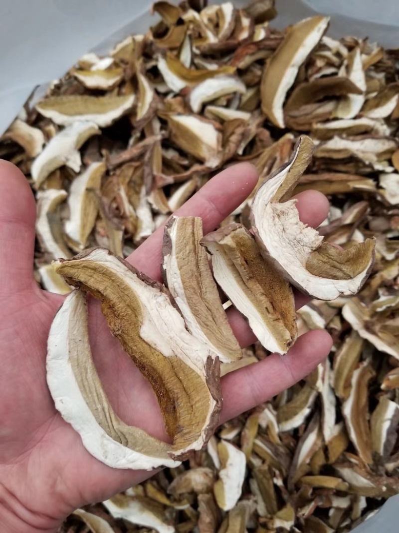 野生美味牛肝菌白牛肝干品月亮帽食用菌干品产地批发