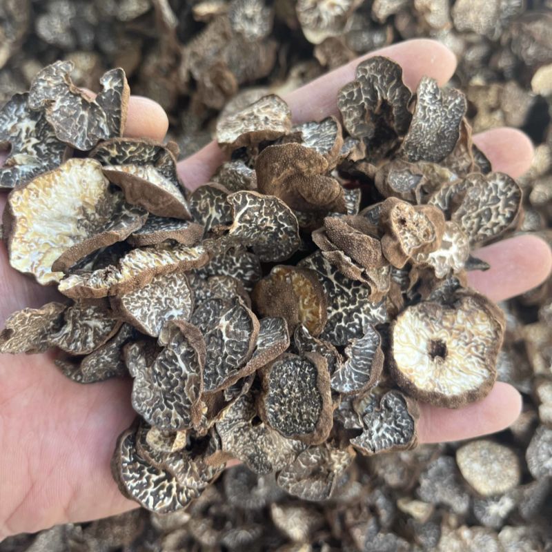 黑松露母片猪哄菌干品打粉料常年现货批发产地直销