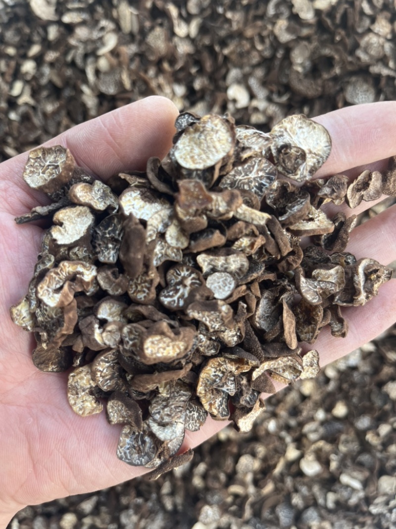 黑松露母片猪哄菌干品打粉料常年现货批发产地直销