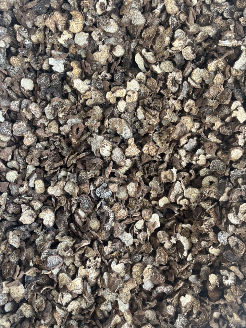 黑松露母片猪哄菌干品打粉料常年现货批发产地直销