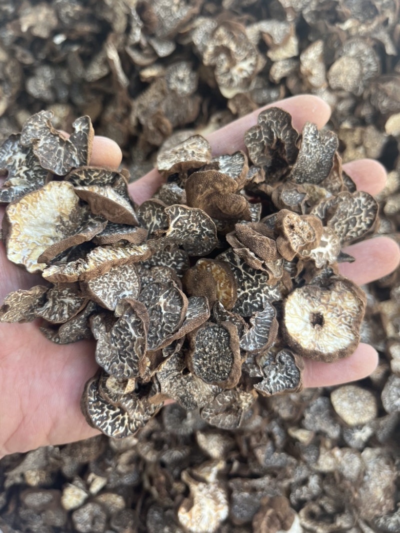 黑松露母片猪哄菌干品打粉料常年现货批发产地直销