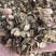 黑松露母片猪哄菌干品打粉料常年现货批发产地直销