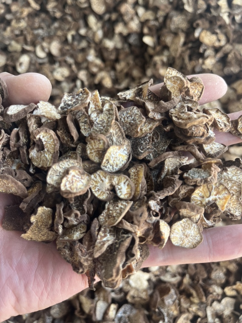 黑松露母片猪哄菌干品打粉料常年现货批发产地直销