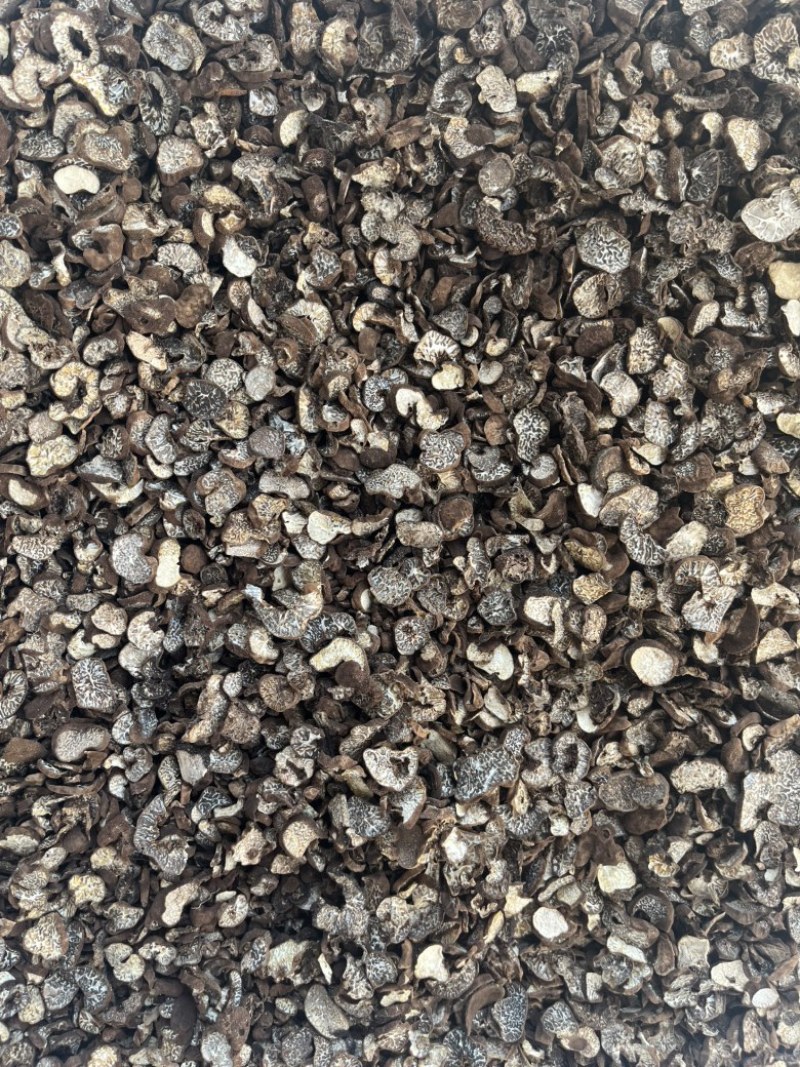 黑松露母片猪哄菌干品打粉料常年现货批发产地直销