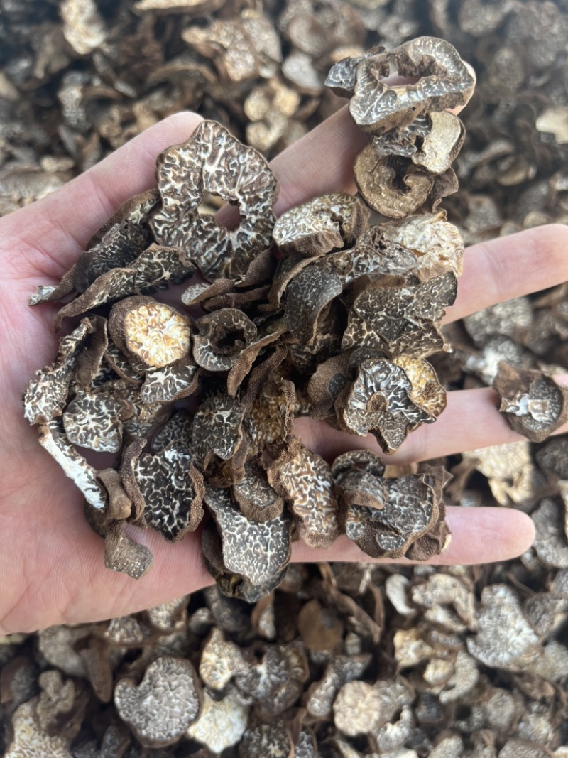 黑松露母片猪哄菌干品打粉料常年现货批发产地直销
