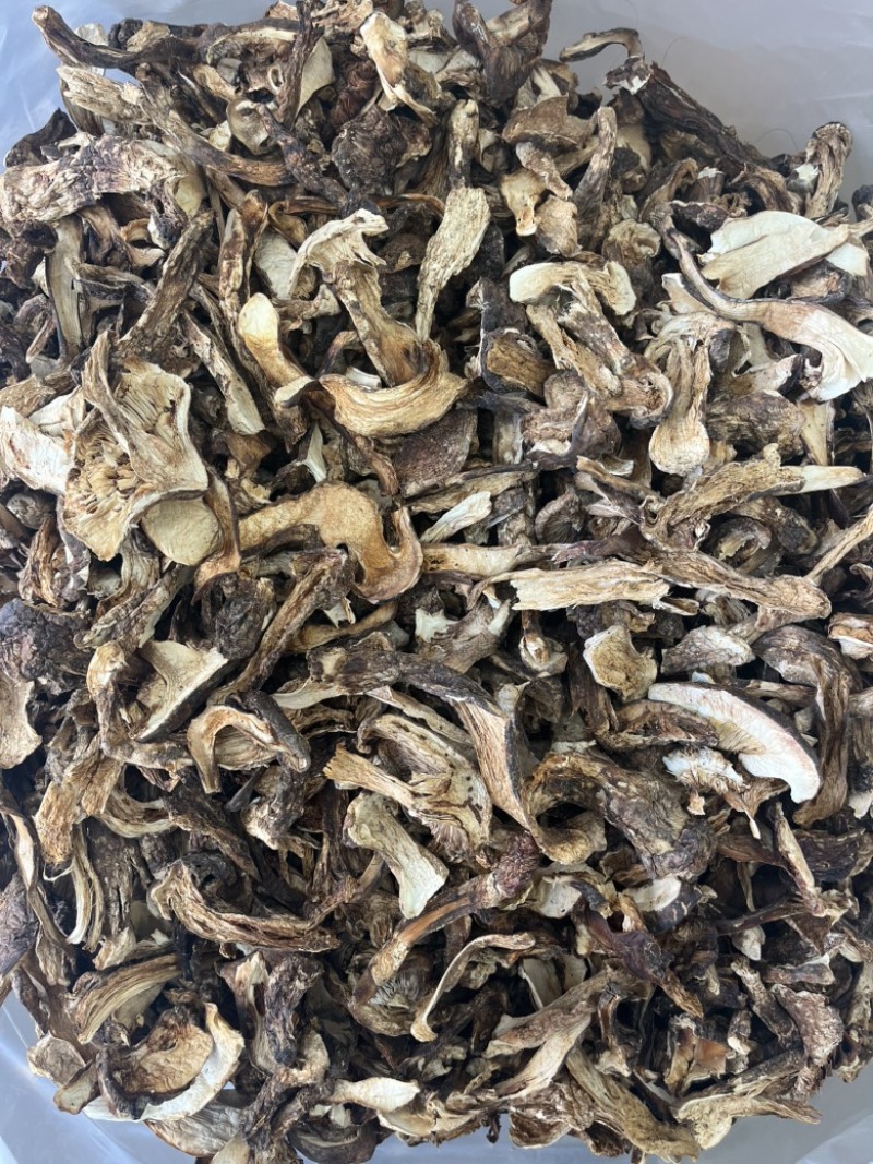 野生带皮松茸藏区松茸干品一手货源产地直销批发
