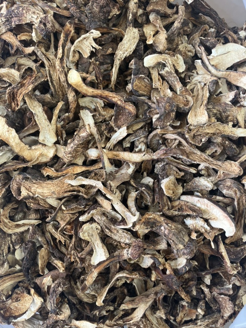 野生带皮松茸藏区松茸干品一手货源产地直销批发