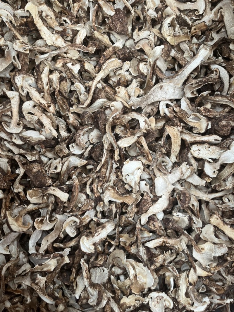野生带皮松茸藏区松茸干品一手货源产地直销批发