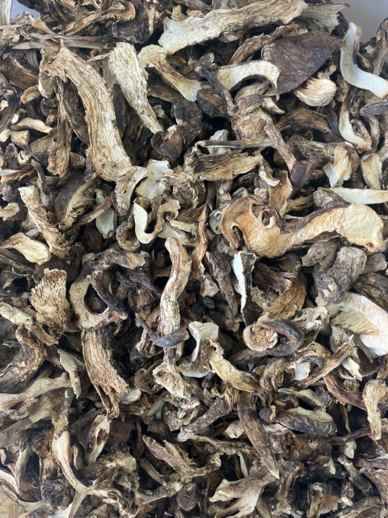 野生带皮松茸藏区松茸干品一手货源产地直销批发