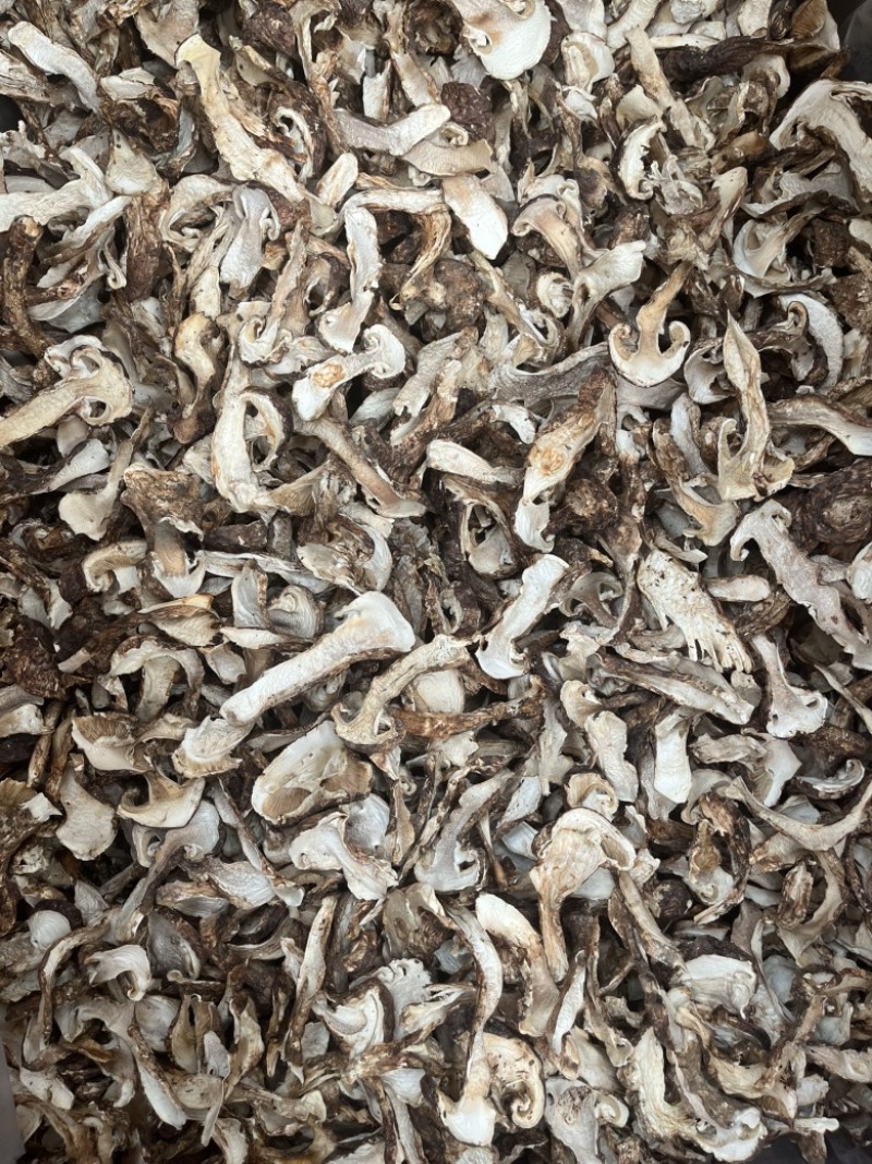 野生带皮松茸藏区松茸干品一手货源产地直销批发