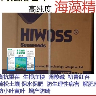 海藻精泡叶藻原粉酶解海藻酸生根壮苗抗逆增产着色增甜冲施
