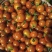 小番茄
