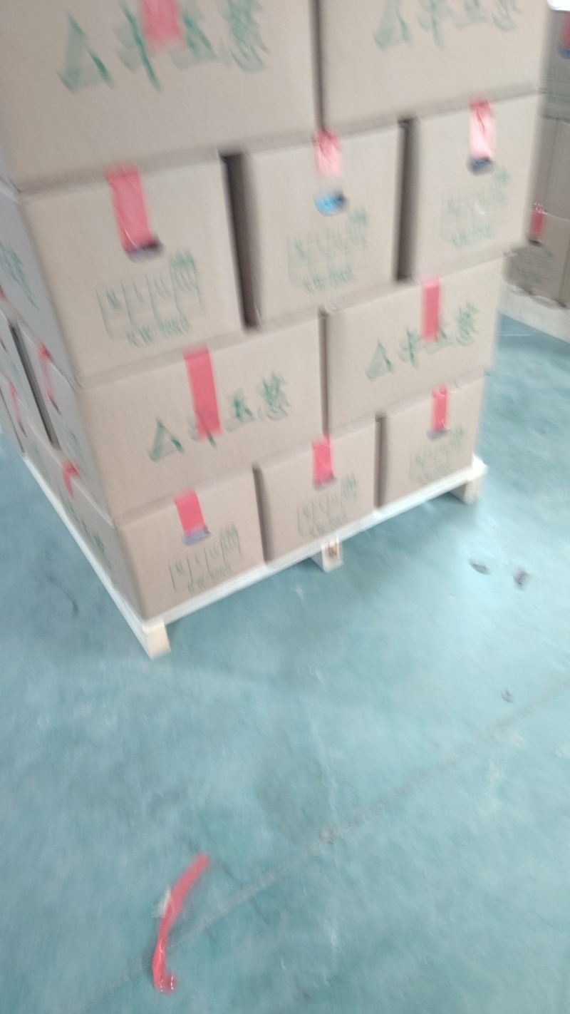 去皮洋葱代加工代发适合饭店预制菜各种食堂电商大量现货供应