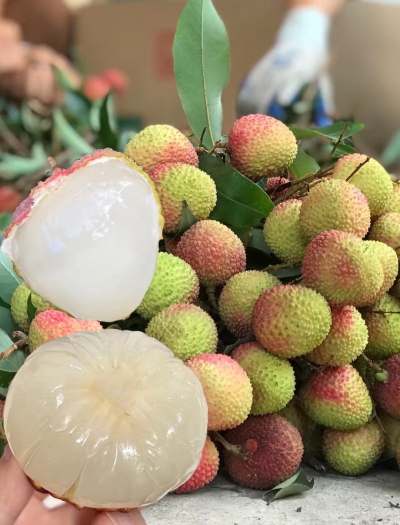荔枝妃子笑大量上市产地直发一手货源品质保证