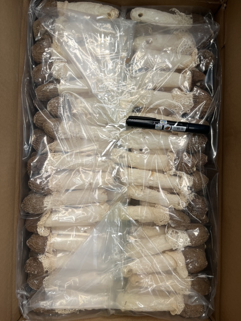 红托竹荪织金竹荪干货长裙竹荪酒店餐饮直供货源稳定