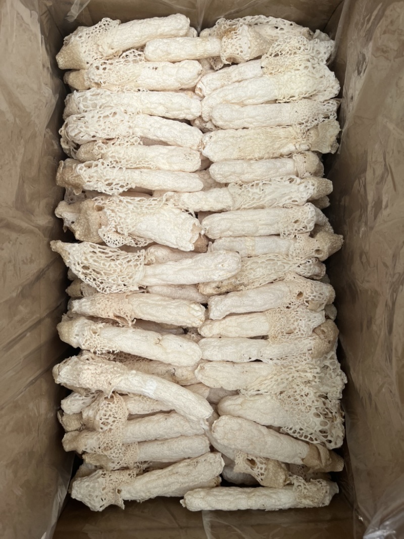 红托竹荪织金竹荪干货长裙竹荪酒店餐饮直供货源稳定