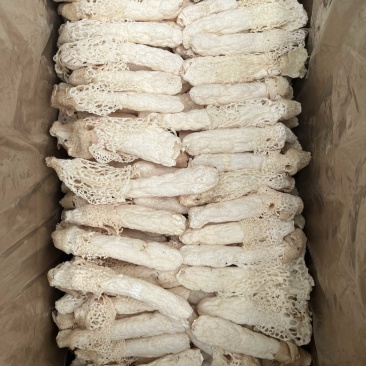 红托竹荪织金竹荪干货长裙竹荪酒店餐饮直供货源稳定