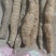 瓜子牛大力鲜
