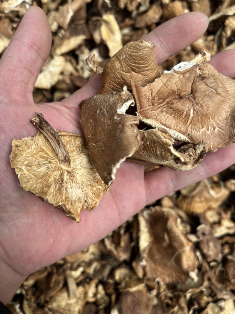 纯野生香菇干货香菌冬菇产地直销批发大货直供量大从优