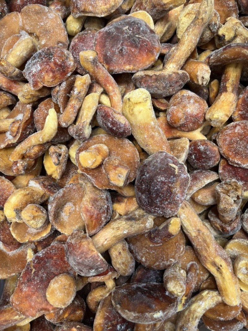 野生黄牛肝菌冻红葱冻品见手青酒店餐饮火锅专用