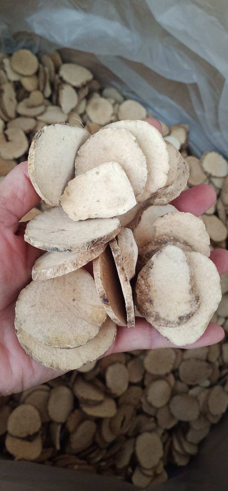 无硫泽泻丶文且四川泽泻中药批发一手货源量大忧惠