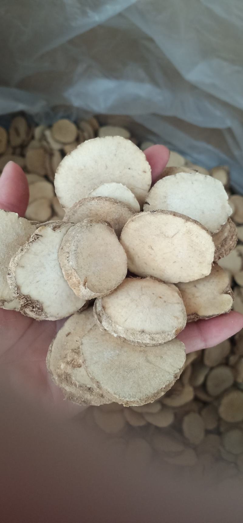 无硫泽泻丶文且四川泽泻中药批发一手货源量大忧惠