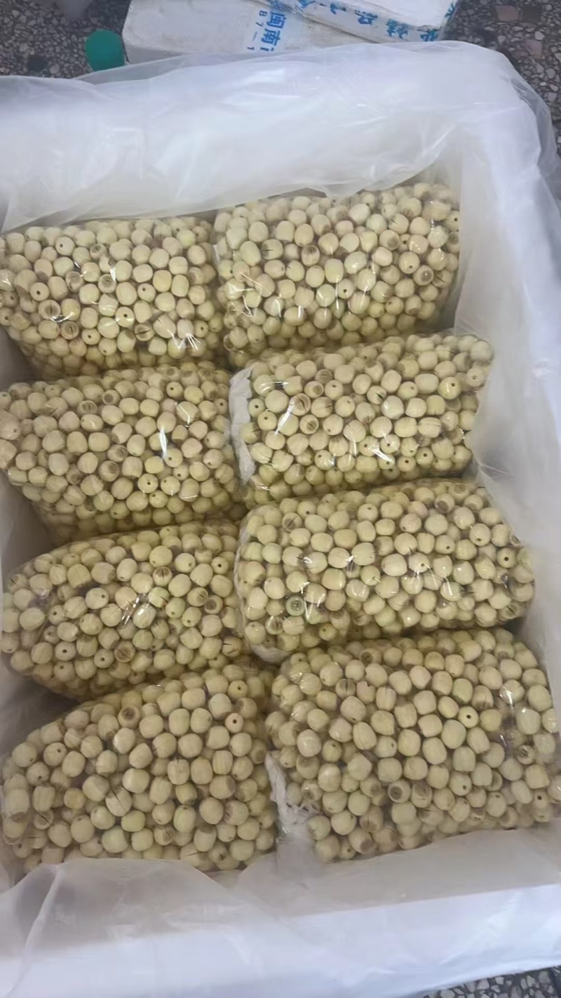 通心鲜莲实心鲜莲白莲江西通心莲子广昌通心莲子鲜莲子红莲子