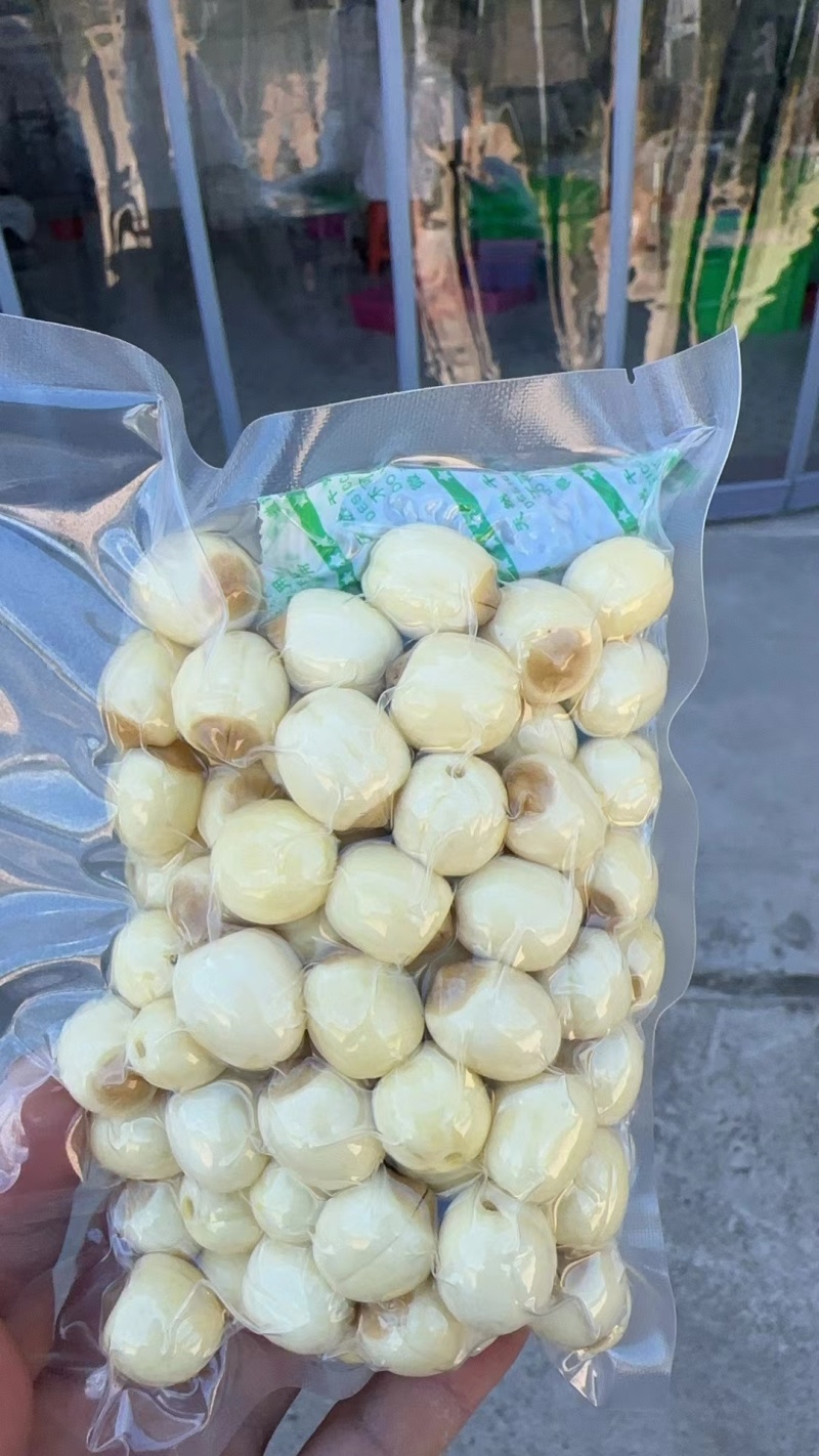 通心鲜莲实心鲜莲白莲江西通心莲子广昌通心莲子鲜莲子红莲子