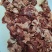 牛肉筋